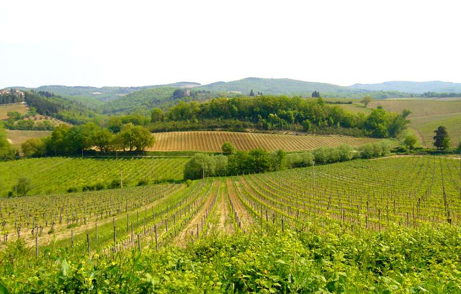 Vineyards & Wine Trails Tour of Tuscany